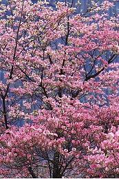 D3P第二弹冬季促销开启 多款《地球防卫军》30%优惠不等